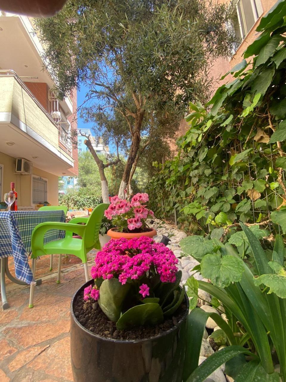 Olive Tree Apartment Σαράντα Εξωτερικό φωτογραφία